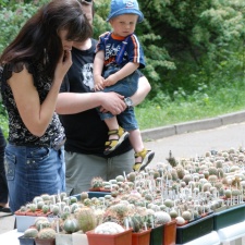 Выставка май 2008 