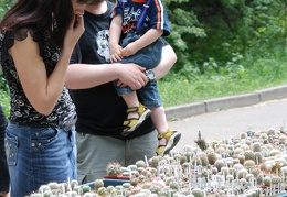 Выставка май 2008 