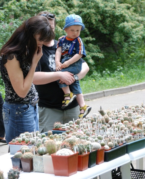DSC_1603c.jpg