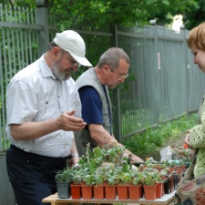 Выставка май 2008 