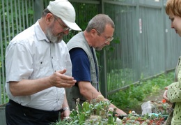 Выставка май 2008 