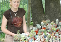 Выставка май 2008 