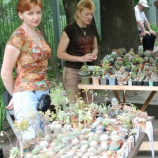 Выставка май 2008 