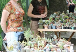 Выставка май 2008 