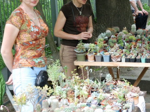 Выставка май 2008 