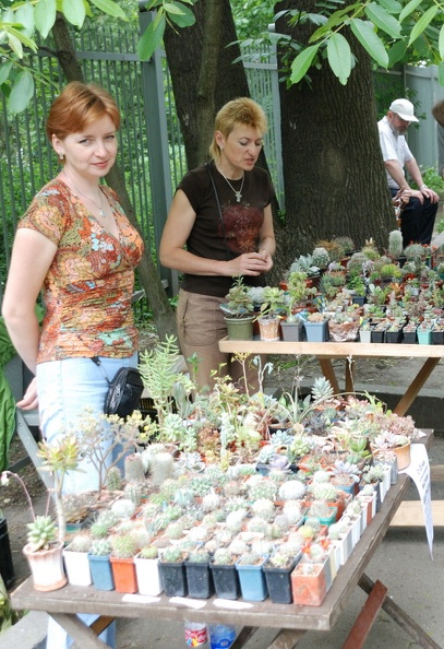 DSC_1618c.jpg
