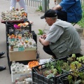 Выставка май 2008