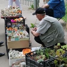 Выставка май 2008