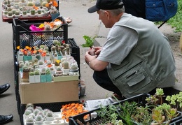 Выставка май 2008