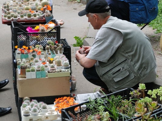 Выставка май 2008