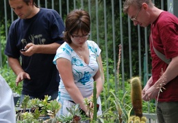 Выставка май 2008