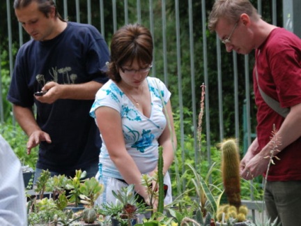 Выставка май 2008