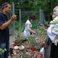 Выставка май 2008