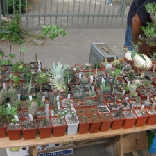 Выставка май 2008