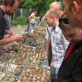 Выставка май 2008