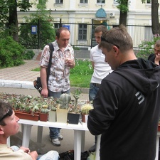 Выставка май 2008
