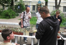 Выставка май 2008