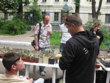 Выставка май 2008
