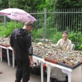 Выставка май 2008