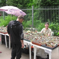 Выставка май 2008