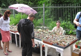 Выставка май 2008