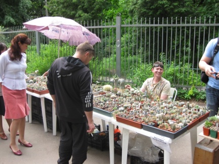 Выставка май 2008