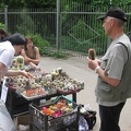 Выставка май 2008