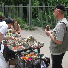 Выставка май 2008