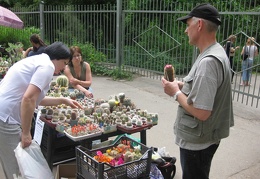 Выставка май 2008