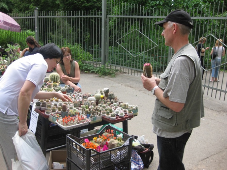 Выставка май 2008