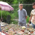 Выставка май 2008