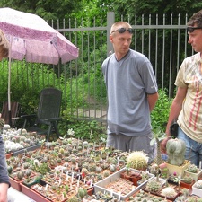 Выставка май 2008