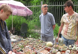 Выставка май 2008