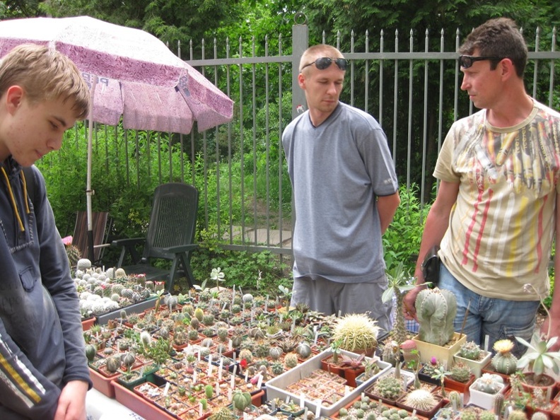 Выставка май 2008
