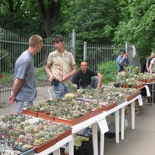 Выставка май 2008