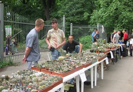 Выставка май 2008
