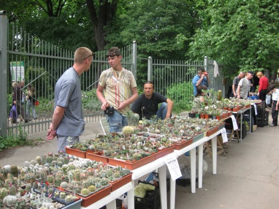 Выставка май 2008