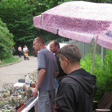 Выставка май 2008