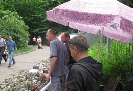 Выставка май 2008