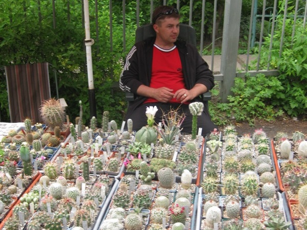 Выставка май 2008