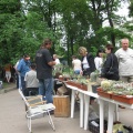 Выставка май 2008