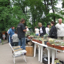 Выставка май 2008