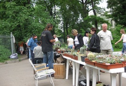 Выставка май 2008