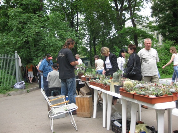 Выставка май 2008