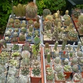 Выставка май 2008