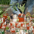 Выставка май 2008