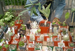 Выставка май 2008