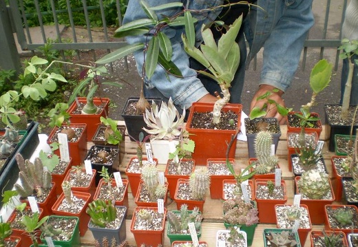Выставка май 2008