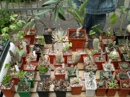 Выставка май 2008