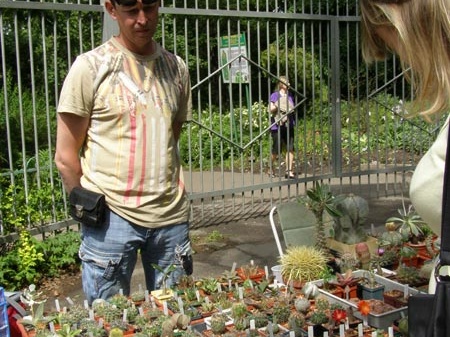 Выставка май 2008